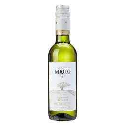 SKOL, Bier Cerveja 300ml, 4,7% vol.