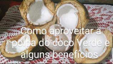  COMO APROVEITAR A POLPA DO COCO VERDE BENEFÍCIO D