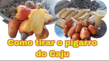  como fazer a polpa do Caju sem o pigarro sem um r