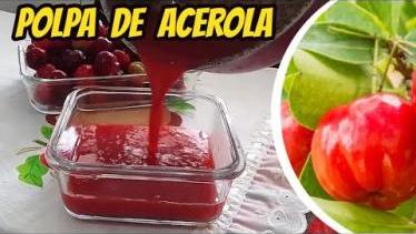 Como fazer polpa de acerola - 100% fruta