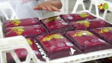  Açaí da Mata - Fábrica de Polpa de Açaí do Pará