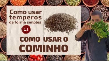 Como usar temperos de forma simples(11) COMINHO! V