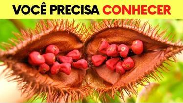  PODEROSO ANTI-INFLAMATÓRIO, ANTIOXIDANTE e Mais! 